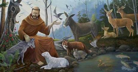 Blessing of the animals